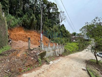 Terreno para Venda, em Jaragu do Sul, bairro Ilha da Figueira