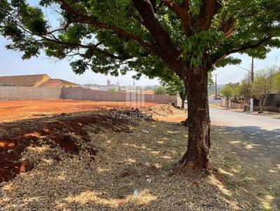 Terreno para Venda, em Pederneiras, bairro Centro