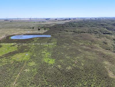 Fazenda para Venda, em , bairro PAIS - URUGUAI