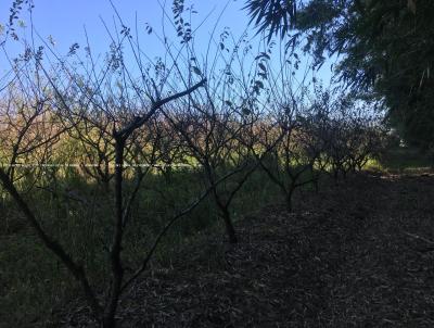 Fazenda para Venda, em Guaba, bairro RS