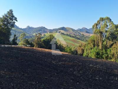 rea Rural para Venda, em Campo Magro, bairro Zona Rural