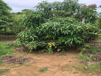 Chcara para Venda, em , bairro ., 3 dormitrios, 1 banheiro