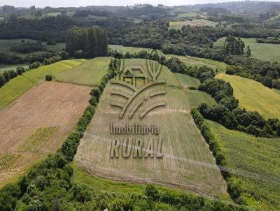 rea Rural para Venda, em So Loureno do Sul, bairro So Loureno do Sul