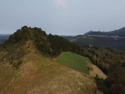 rea Rural para Venda, em Cara, bairro Alto Lajeadinho