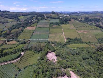 Fazenda para Venda, em Bento Gonalves, bairro RS