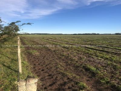 Haras para Venda, em Candiota, bairro RS