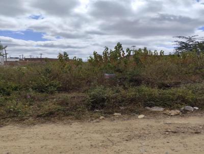 Terreno para Venda, em Pesqueira, bairro Pedra Redonda