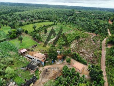 Fazenda para Venda, em So Lus, bairro So Joaquim