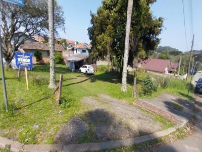 Terreno para Venda, em Campo Alegre, bairro FRAGOSOS, 2 dormitrios, 1 banheiro