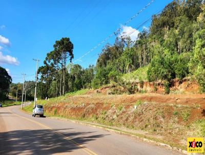 Terreno para Venda, em Nova Petrpolis, bairro Linha Imperial