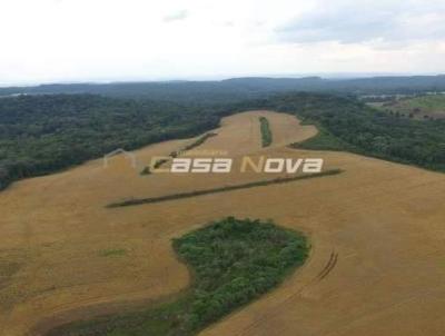 Fazenda para Venda, em Ponte Serrada, bairro interior