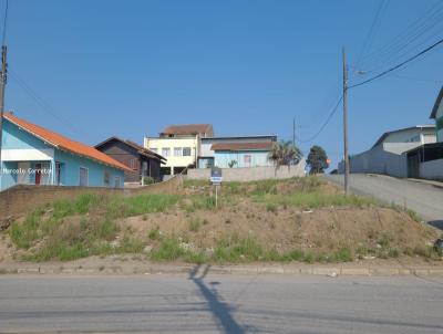 Terreno para Venda, em So Bento do Sul, bairro Braslia