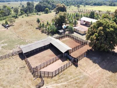 Fazenda para Venda, em Santo Antnio do Leverger, bairro FAZENDA