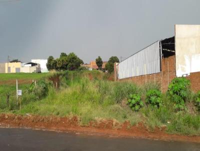 Terreno para Venda, em Jaboticabal, bairro JARDIM DAS ROSAS