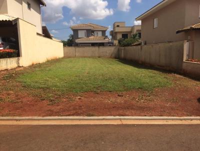 Terreno para Venda, em Ribeiro Preto, bairro Recreio Das Accias