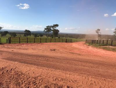 Fazenda para Venda, em Trs Lagoas, bairro Centro