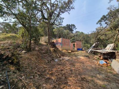 Chcara para Venda, em , bairro Canelinha - Taquari