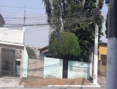 Terreno para Venda, em So Paulo, bairro Parque Colonial