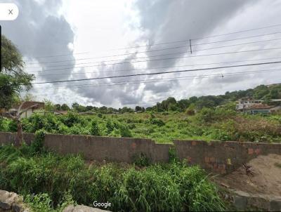 Terreno para Venda, em Camaragibe, bairro Areeiro