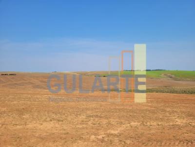 Fazenda para Venda, em Rosrio do Sul, bairro Distrito