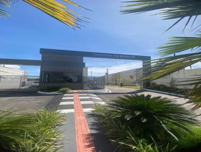 imagem-miniatura