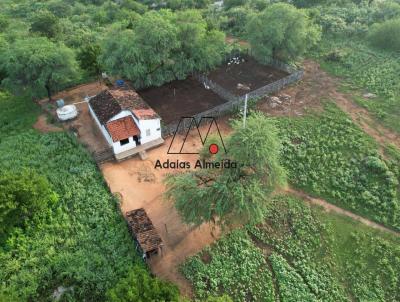 Fazenda para Venda, em Coronel Jos Dias, bairro Povoado Lajes da Pedra