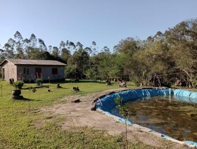 Chcara para Venda, em Nova Hartz, bairro Campo Pinheiro, 2 dormitrios