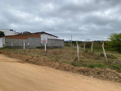 Terreno para Venda, em Pesqueira, bairro Prado