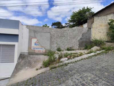 Terreno para Venda, em Pesqueira, bairro Centro