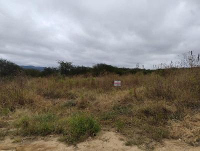 Terreno para Venda, em Pesqueira, bairro Zona Rural