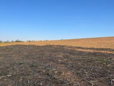 Chcara para Venda, em Entre Rios de Minas, bairro Margens da MG 270