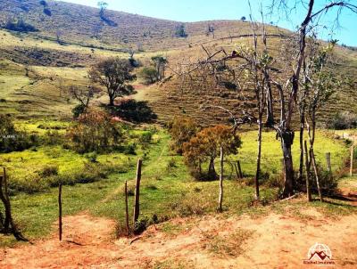 Chcara para Venda, em Taubat, bairro Pedra Grande