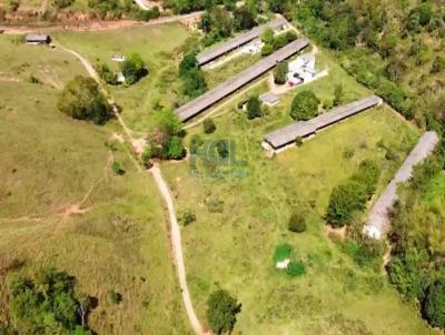 Chcara para Venda, em Governador Valadares, bairro Santo Antonio do Pontal