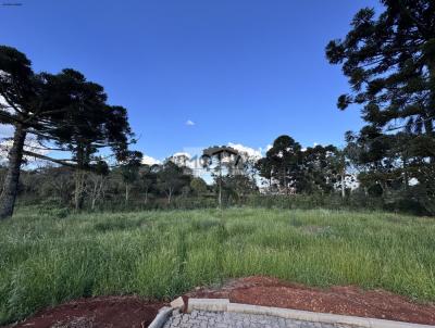 Terreno para Venda, em Erechim, bairro .