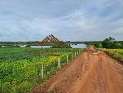 Fazenda para Venda, em Araguana, bairro rea Rural de Araguana