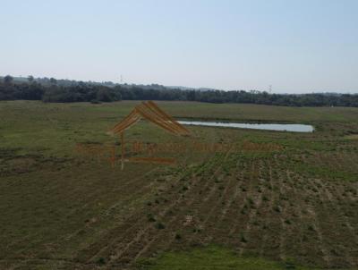 Fazenda para Venda, em Porangaba, bairro rea rural