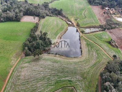 rea para Venda, em Erechim, bairro .