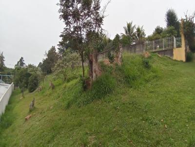 Terreno para Venda, em Barueri, bairro Alphaville