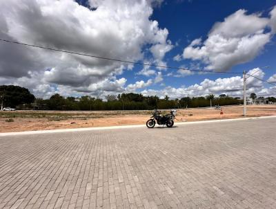 Lote para Venda, em Linhares, bairro Vila So Jos