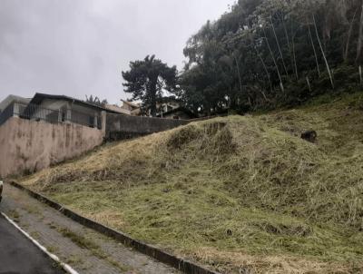 Terreno para Venda, em Barra Velha, bairro Centro, 1 banheiro