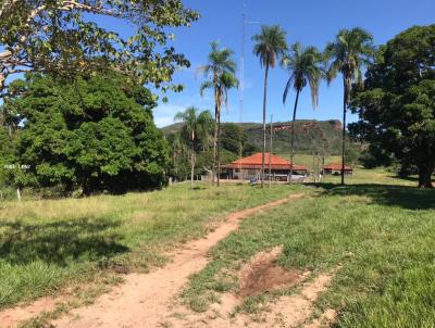 Fazenda para Venda, em Tesouro, bairro FAZENDA