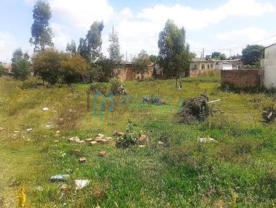 Terreno para Venda, em Pelotas, bairro Areal