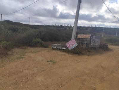 Terreno para Venda, em Pesqueira, bairro Prado