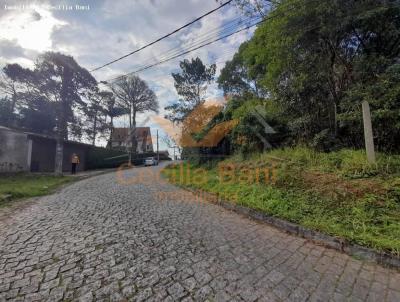 Terreno para Venda, em Ribeirão Pires, bairro Vila Suiça