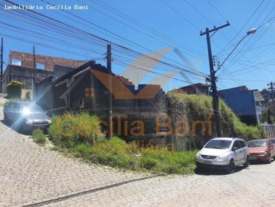 Terreno para Venda, em Ribeirão Pires, bairro Santa Luzia