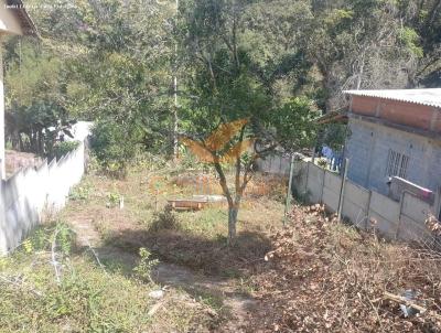 imagem-miniatura