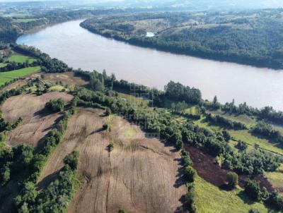 Stio / Chcara para Venda, em Novo Machado, bairro Marrocas, 2 dormitrios, 2 banheiros, 2 vagas