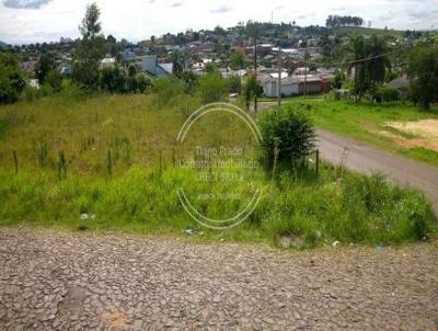 Terreno para Venda, em Sapiranga, bairro Oeste