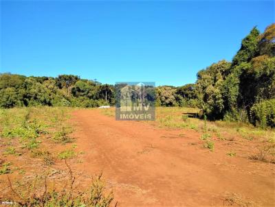 rea Rural para Venda, em Guarapuava, bairro A 2 km da BR 277  7,5 km do trevo de Guarapuava, 3 dormitrios, 1 banheiro