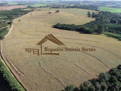 Fazenda para Venda, em Pratnia, bairro rea Rural de Pratnia